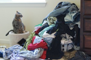 2449450813_6bbc73a8b8