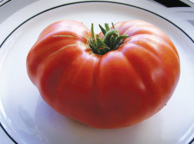 large-tomato